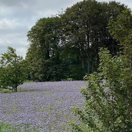 بيت للعطل Typique Normand Bretteville-du-Grand Caux
